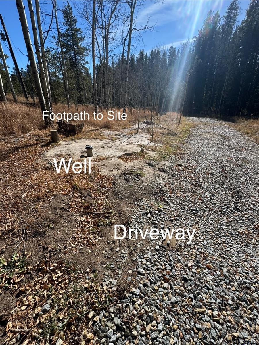 Lot 216620 Indian Springs Road Conifer, CO 80433 - Photo 7 of 37