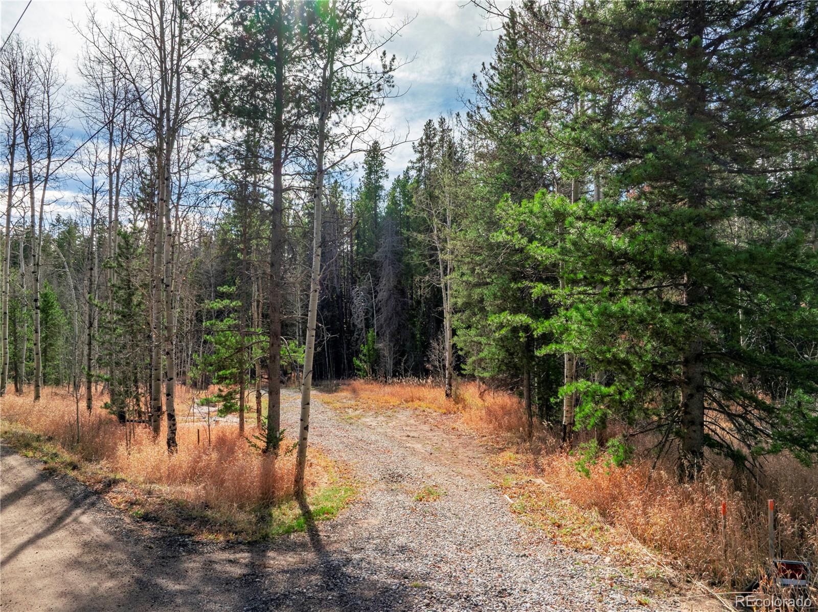 Lot 216620 Indian Springs Road Conifer, CO 80433 - Photo 7 of 43 a view of outdoor space and trees