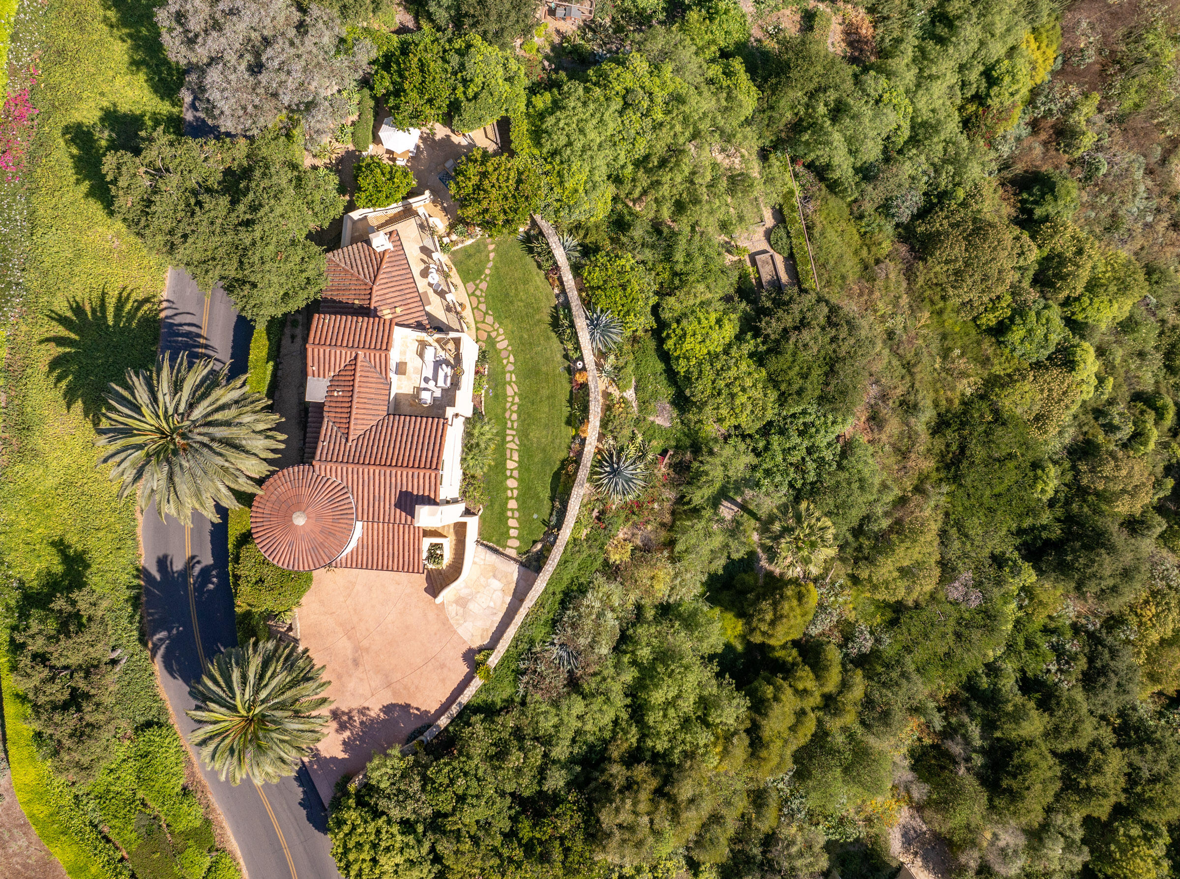 900 Las Alturas Road Santa Barbara, CA 93103 - Photo 38 of 42 a picture of a tree