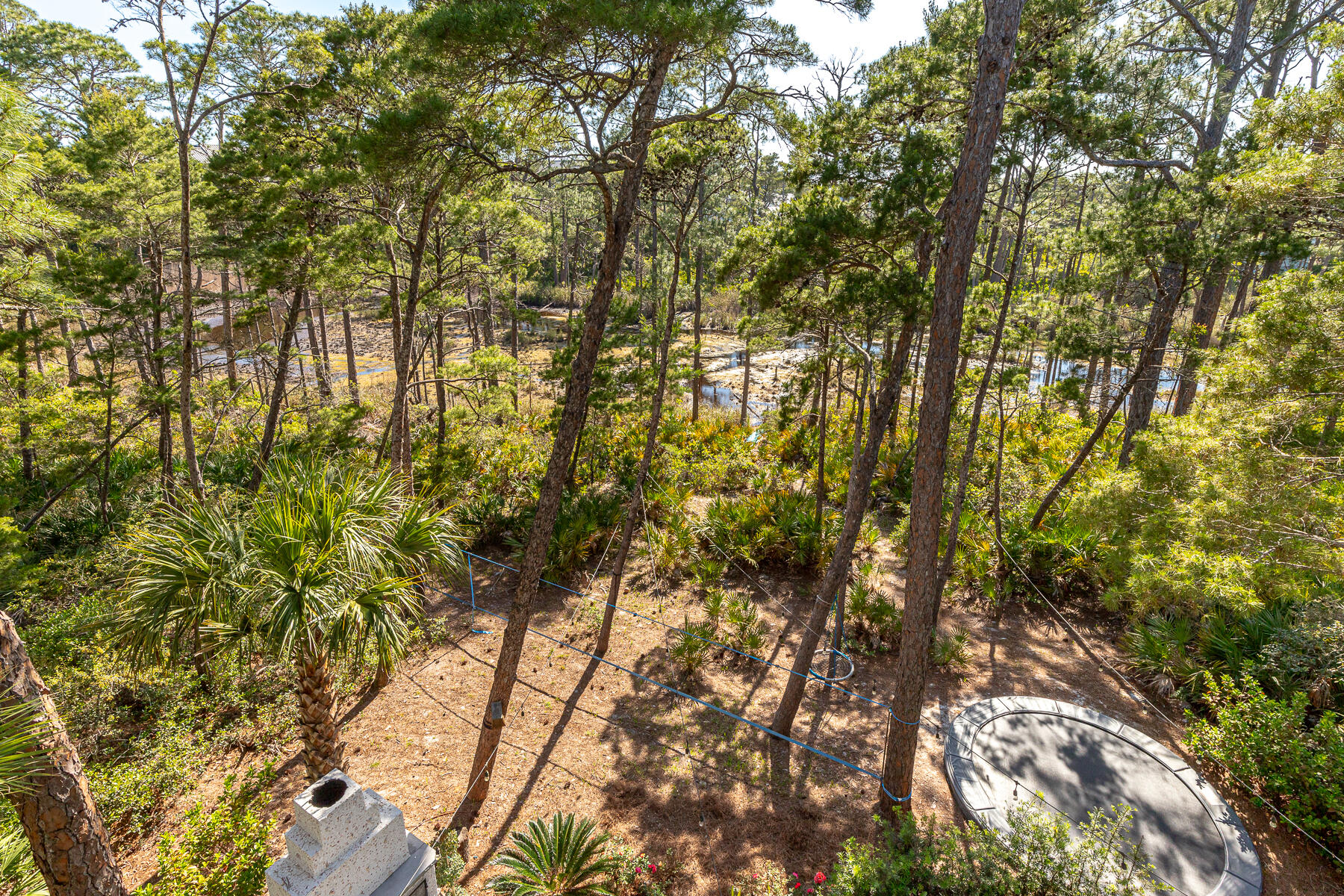 363 Matt's Way Santa Rosa Beach, FL 32459 - Photo 19 of 51 a view of a yard with plants and large trees