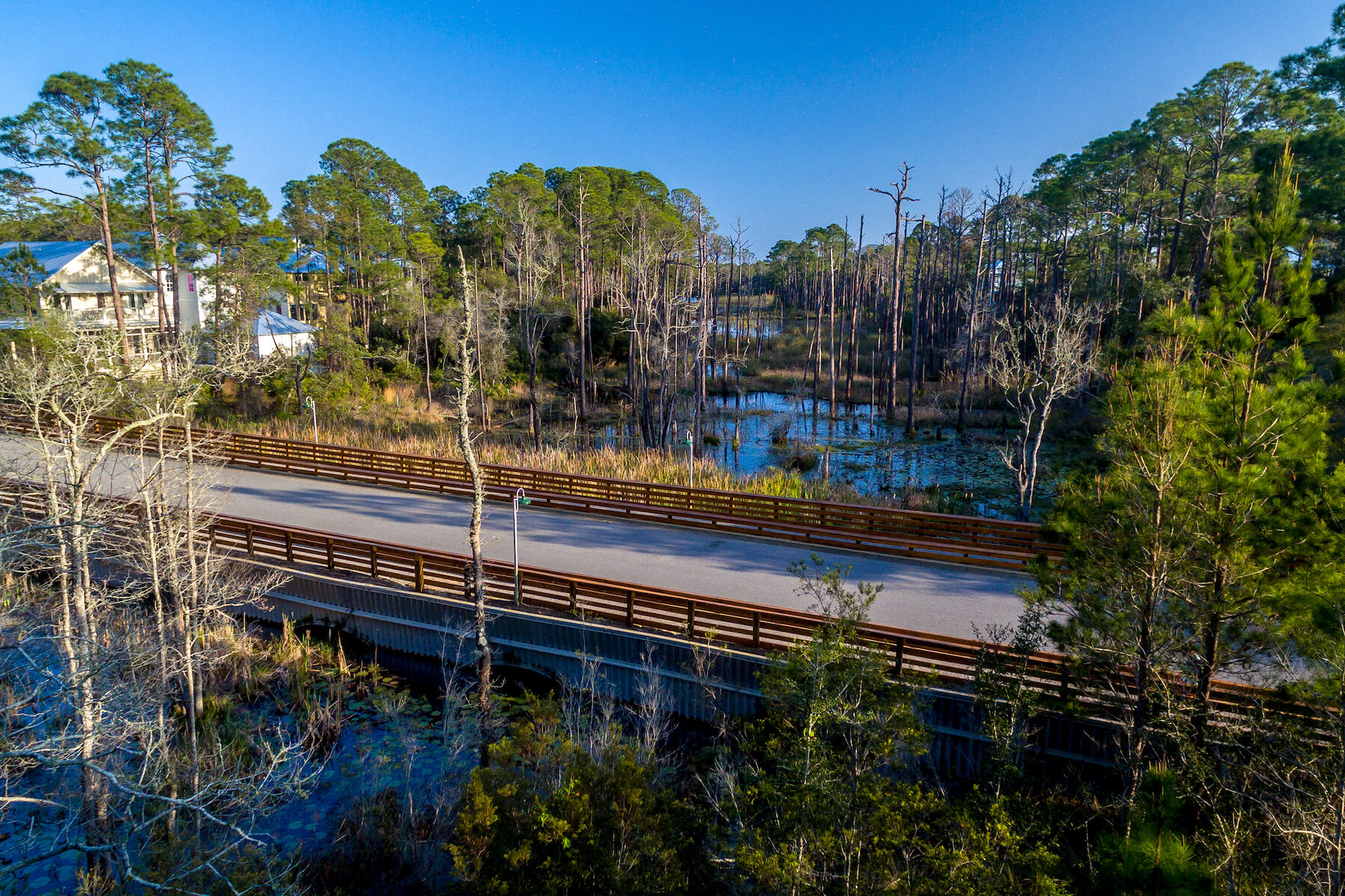 363 Matt's Way Santa Rosa Beach, FL 32459 - Photo 44 of 51 a view of a backyard of a house with a lake view