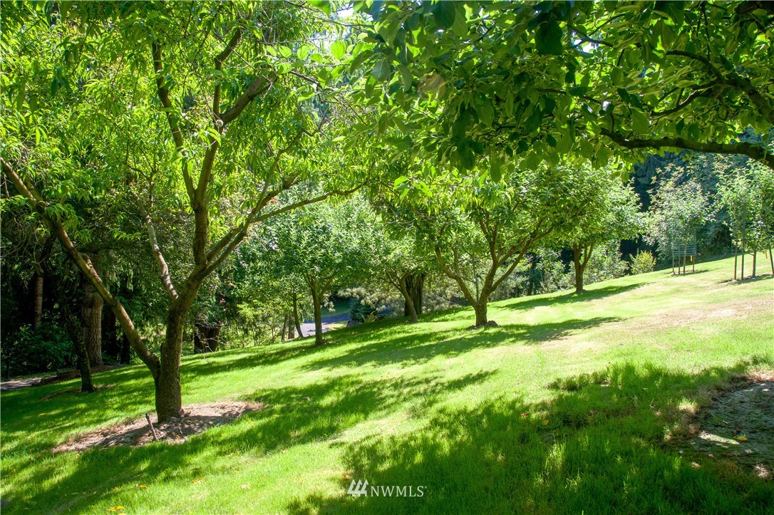1802 South Scheuber Road Chehalis, WA 98532 - Photo 20 of 25 Gallery Image 20