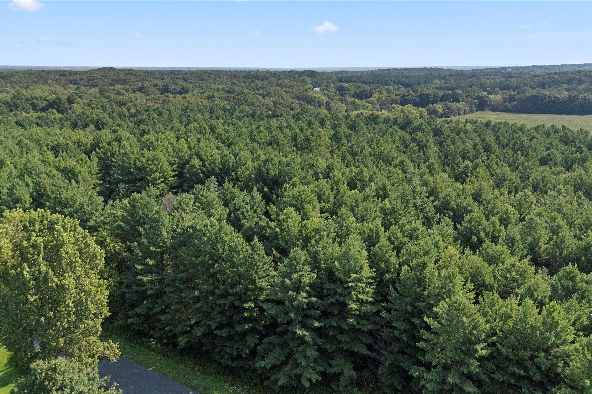 Tbd Lot 2 Tbd Street Somerset, WI 54025 - Photo 13 of 15