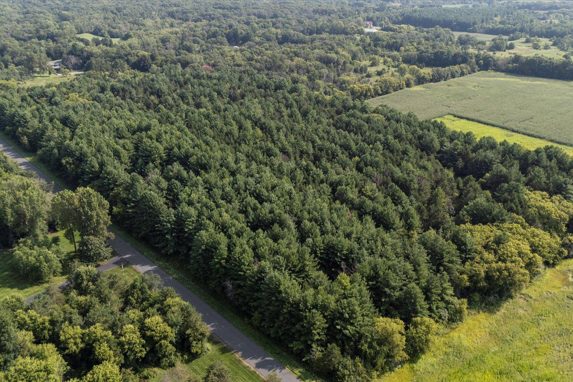 Tbd Lot 2 Tbd Street Somerset, WI 54025 - Photo 14 of 15