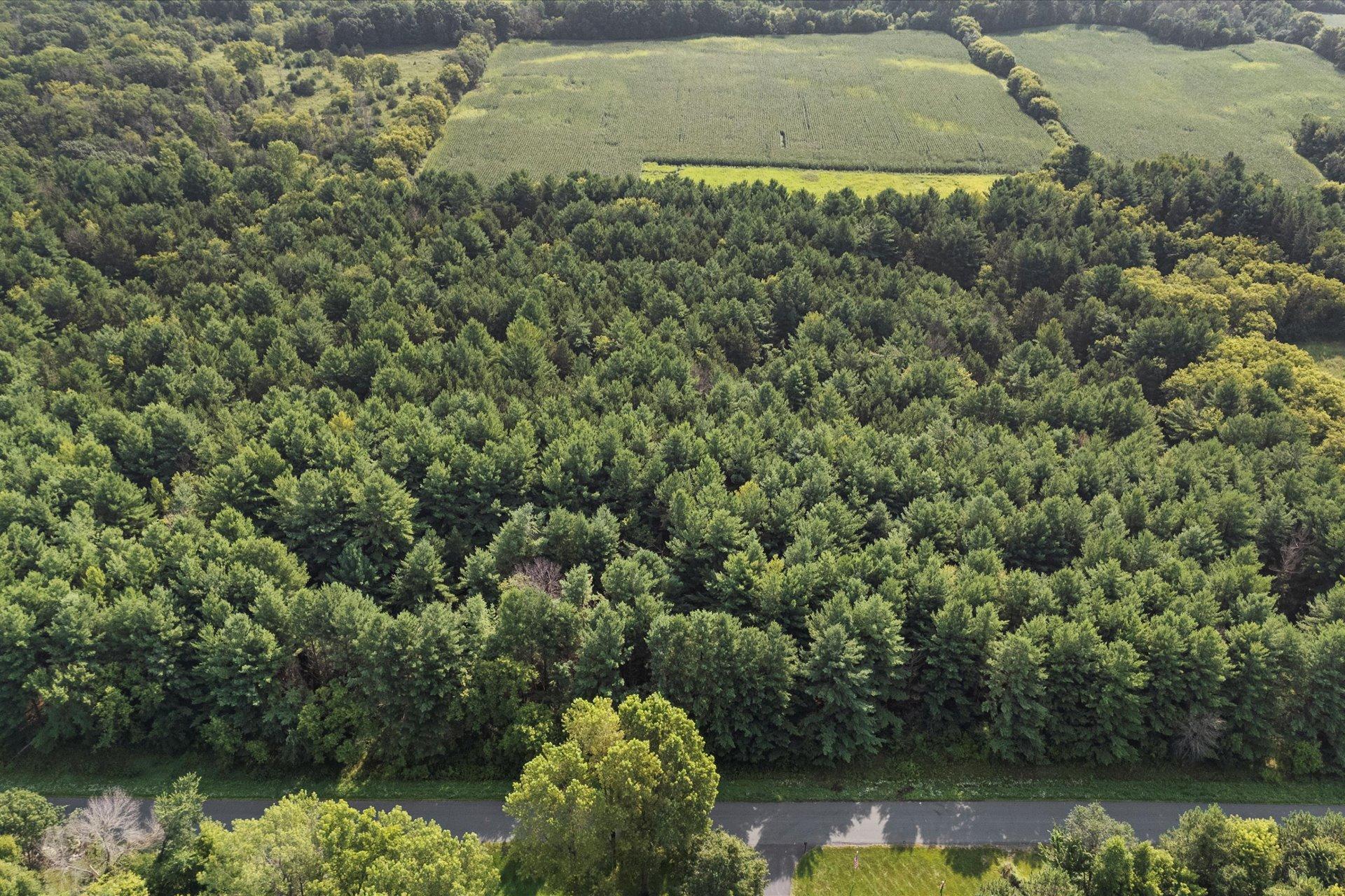 Tbd Lot 2 Tbd Street Somerset, WI 54025 - Photo 2 of 15