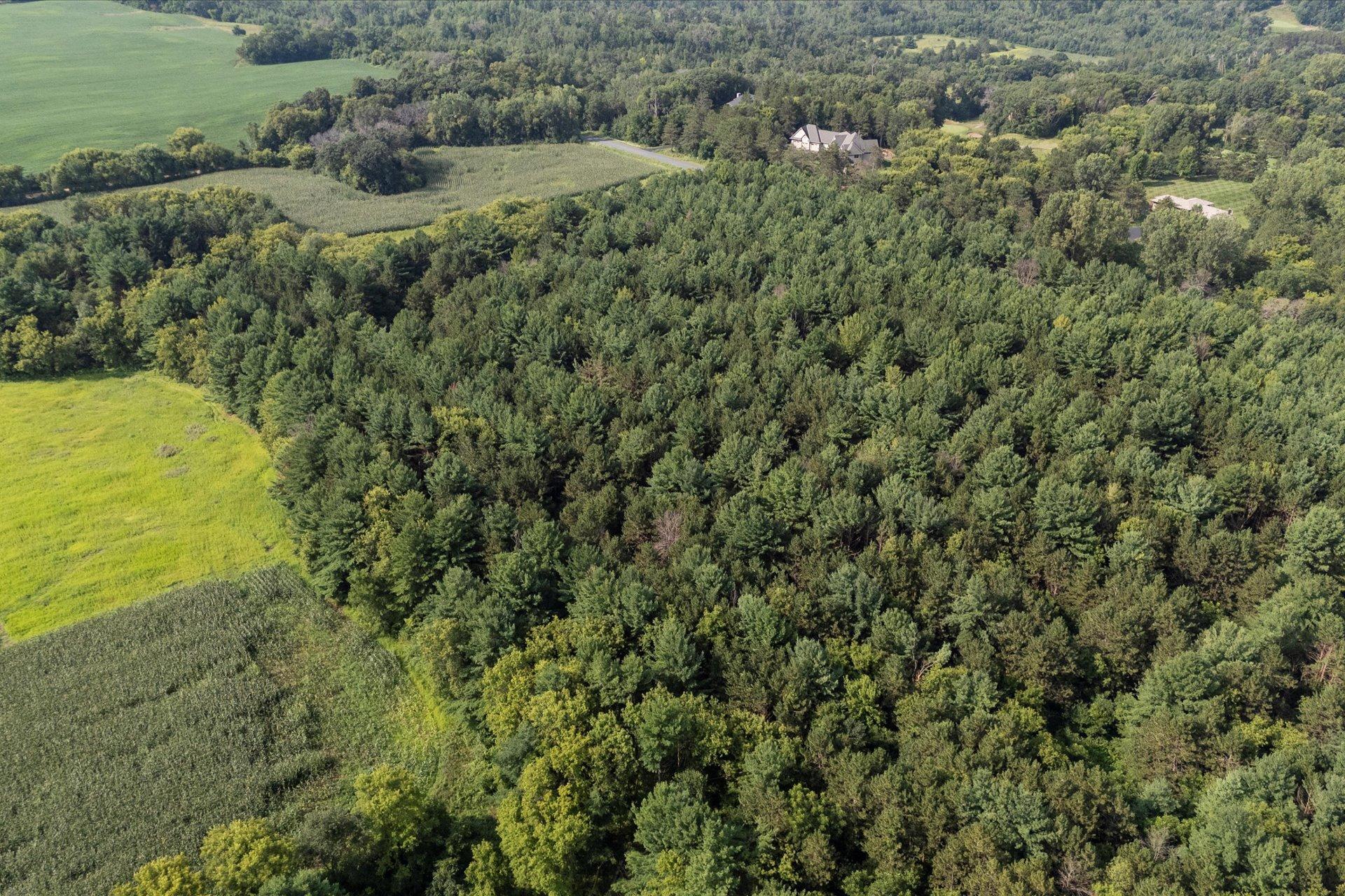 Tbd Lot 2 Tbd Street Somerset, WI 54025 - Photo 5 of 15