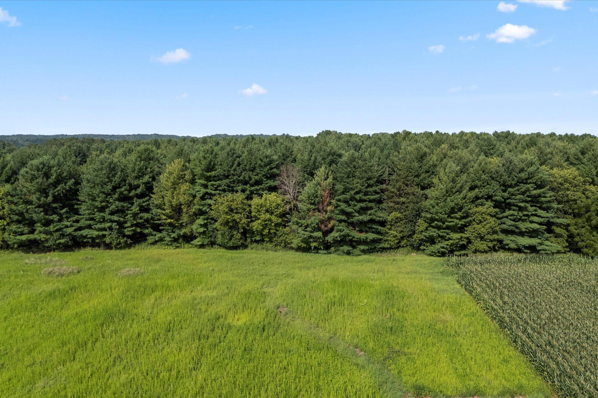 Tbd Lot 2 Tbd Street Somerset, WI 54025 - Photo 9 of 15