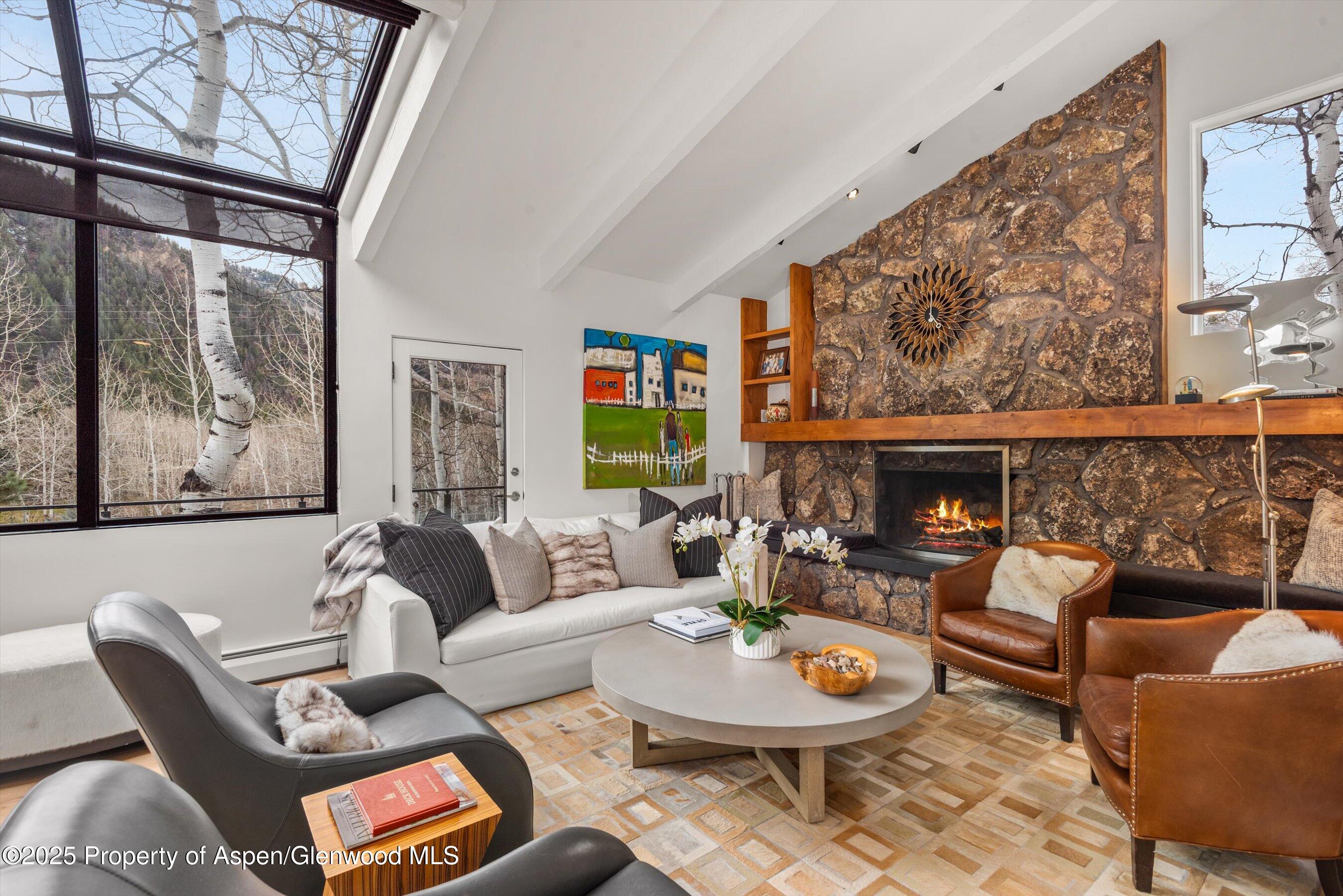 262 Eastwood Road Aspen, CO 81611 - Photo 8 of 46 03-262Eastwood_251125004