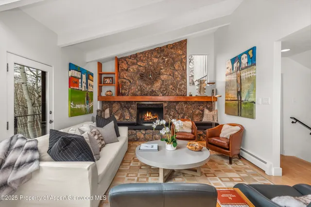 a large living room with stainless steel appliances furniture a fireplace and a flat screen tv