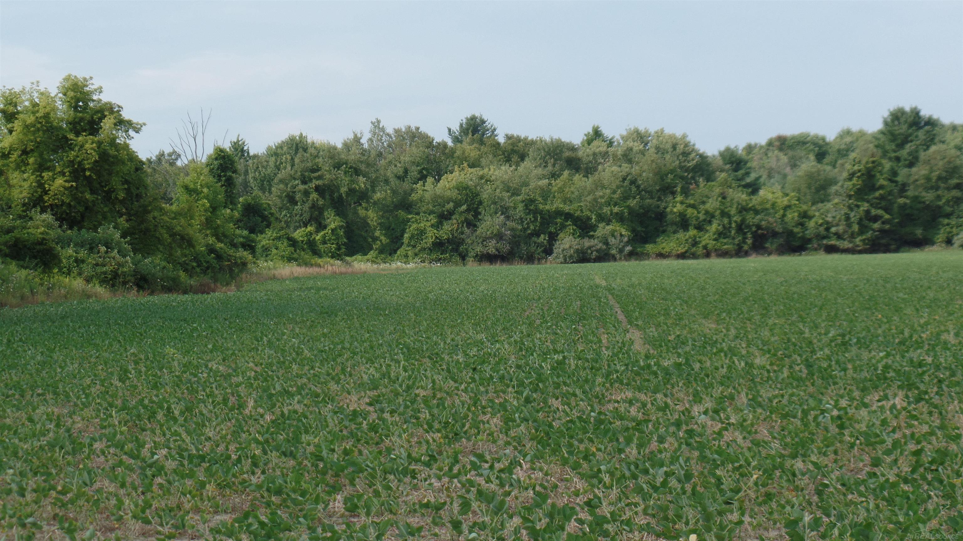 0 French Line Road Carsonville, MI 48419 - Photo 17 of 25