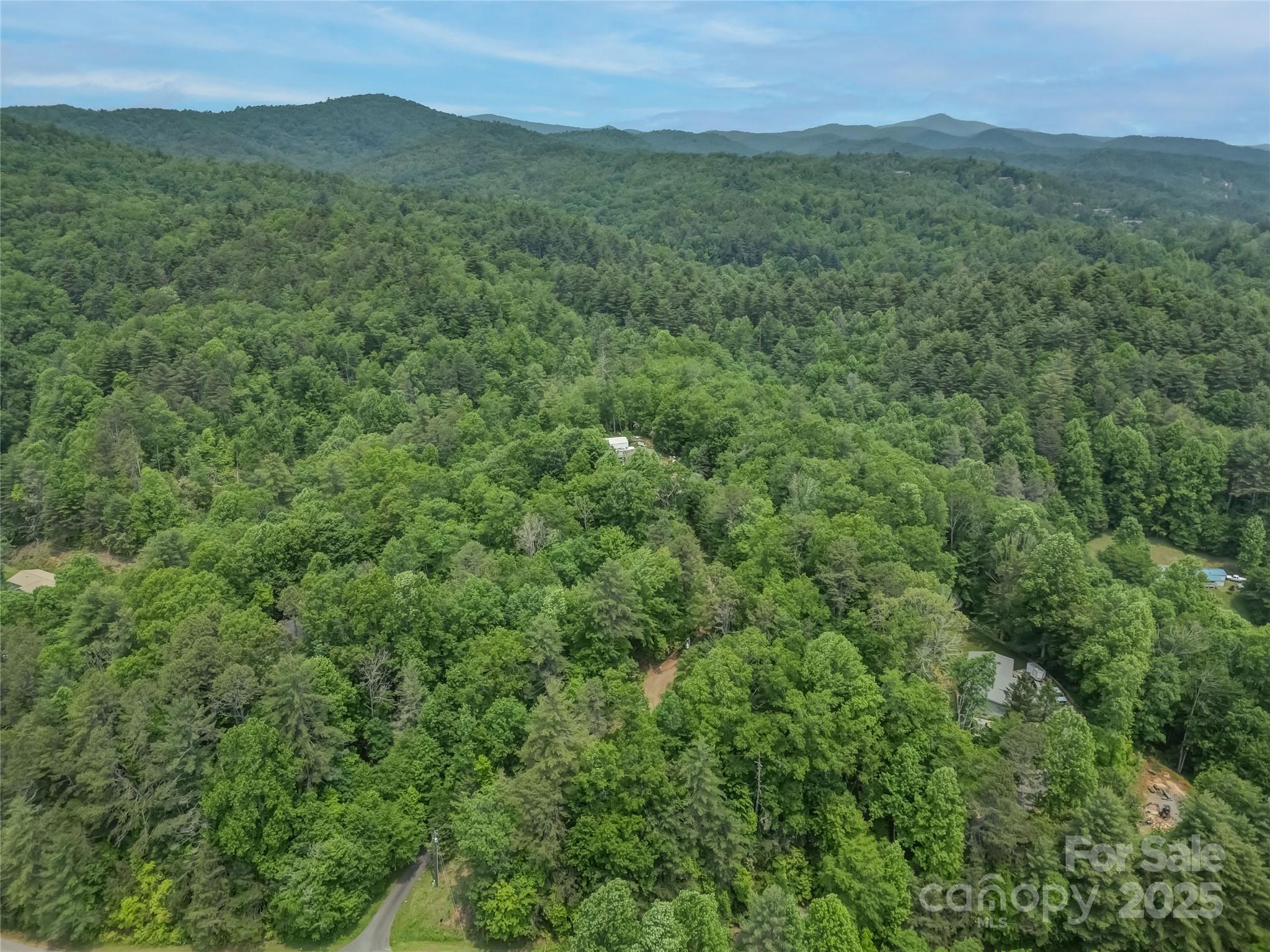 0 Israel Road Brevard, NC 28712 - Photo 7 of 17