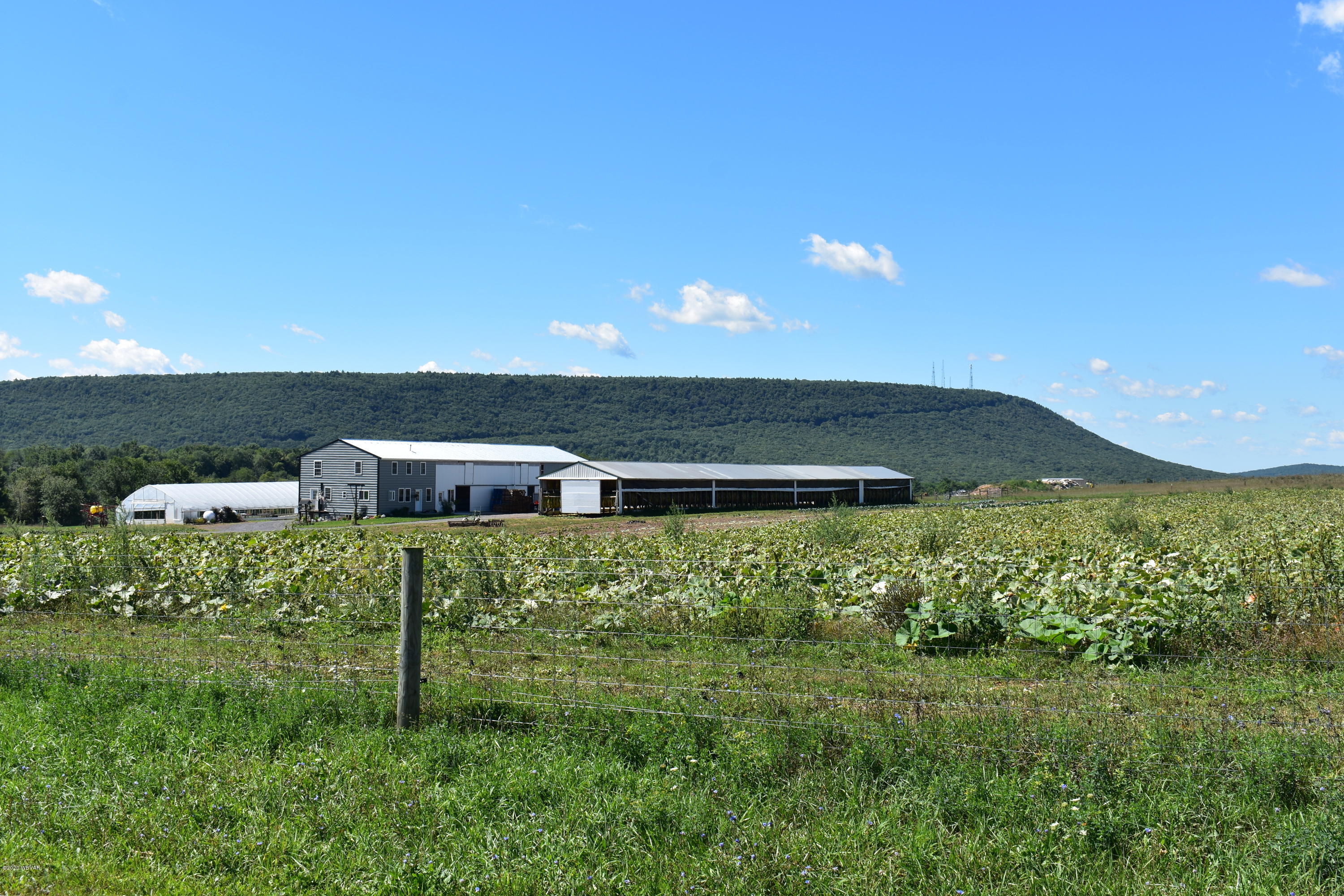 121 Brungard Road Loganton, PA 17747 - Photo 12 of 16 Gallery Image 12