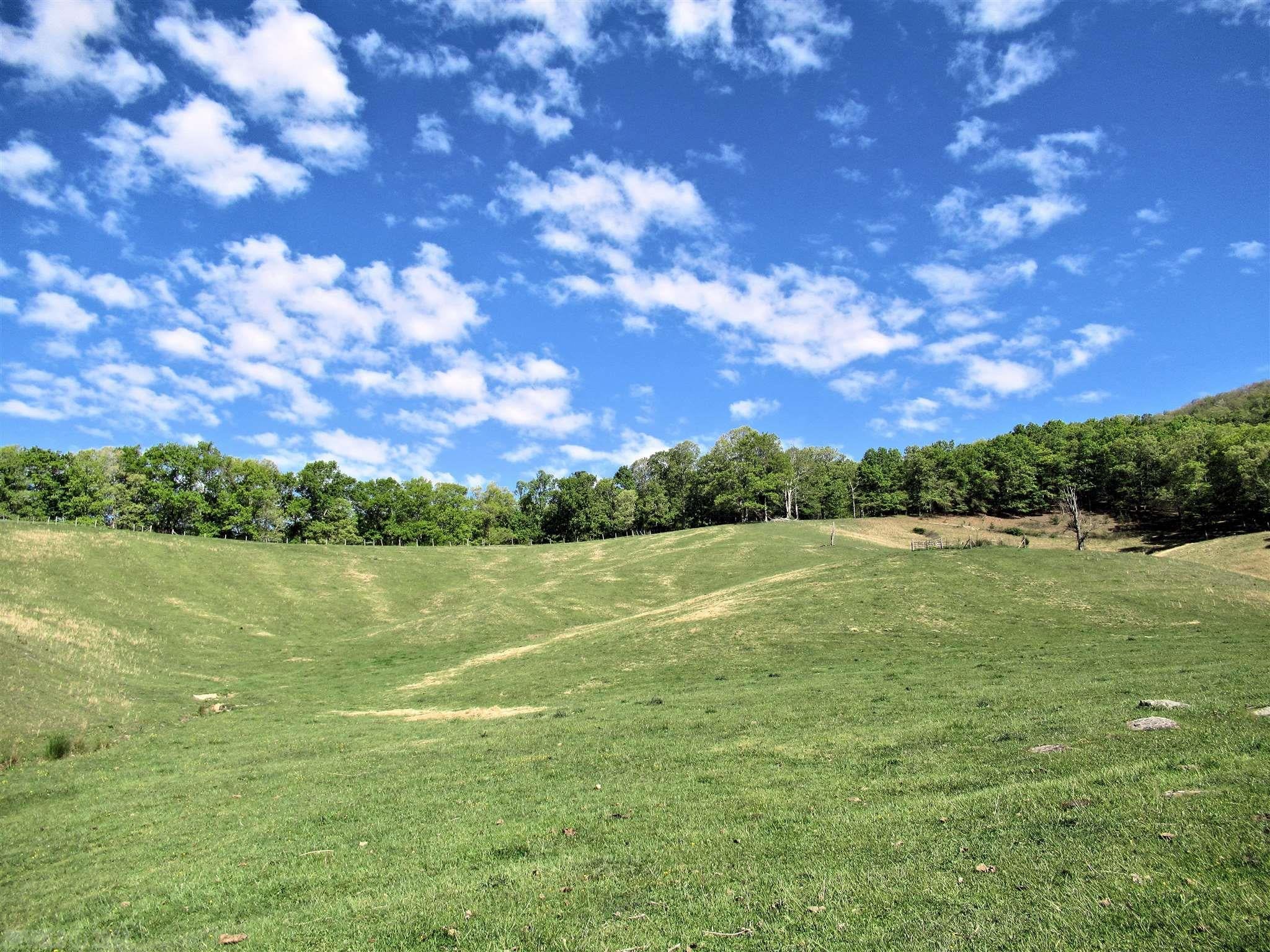 8590 Wilderness Road Bland, VA 24315 - Photo 1 of 39 Gallery Image 1