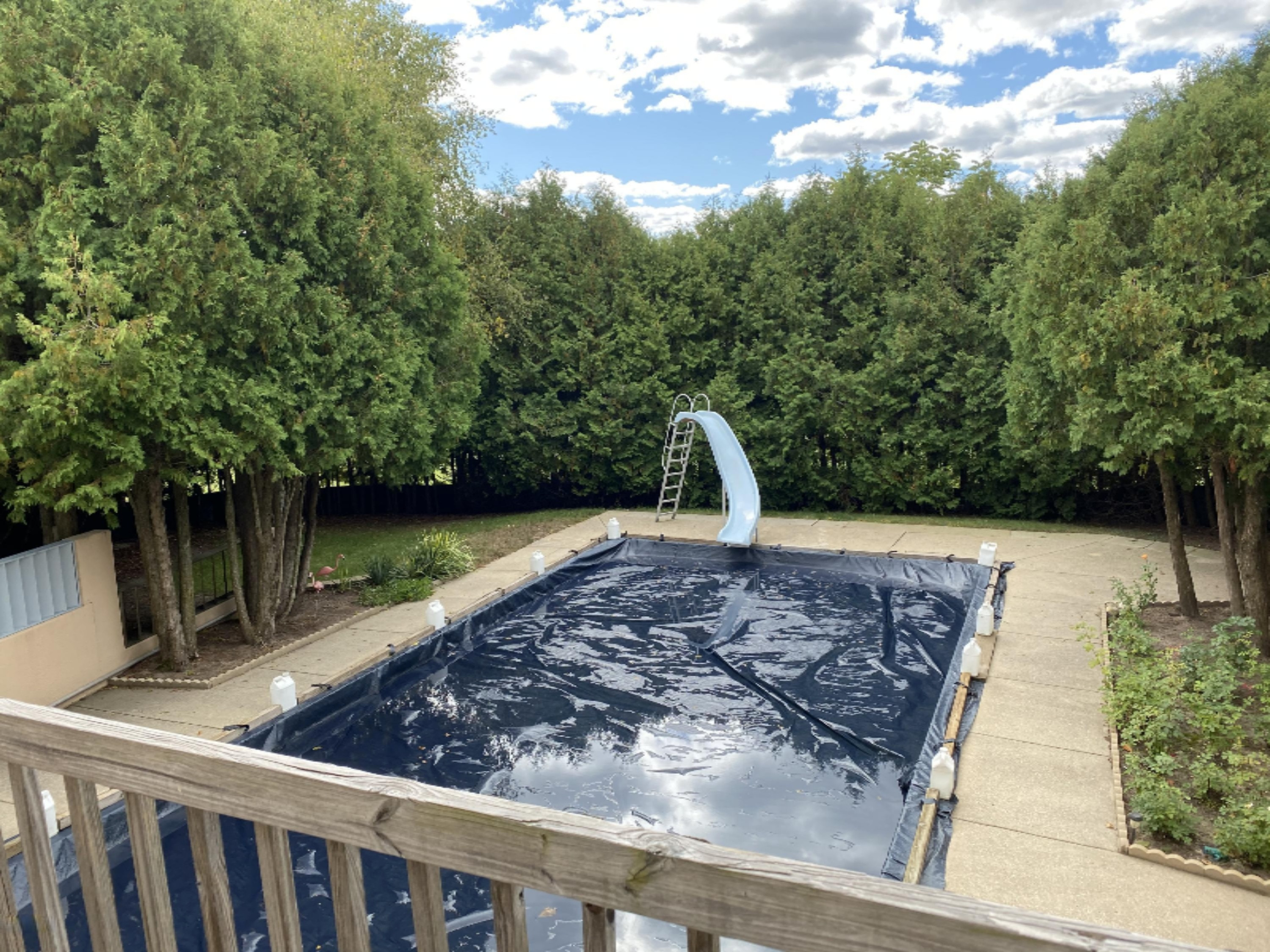 7123 Adamson Lake Road Kaleva, MI 49645 - Photo 44 of 59 20 x 40 In-ground pool