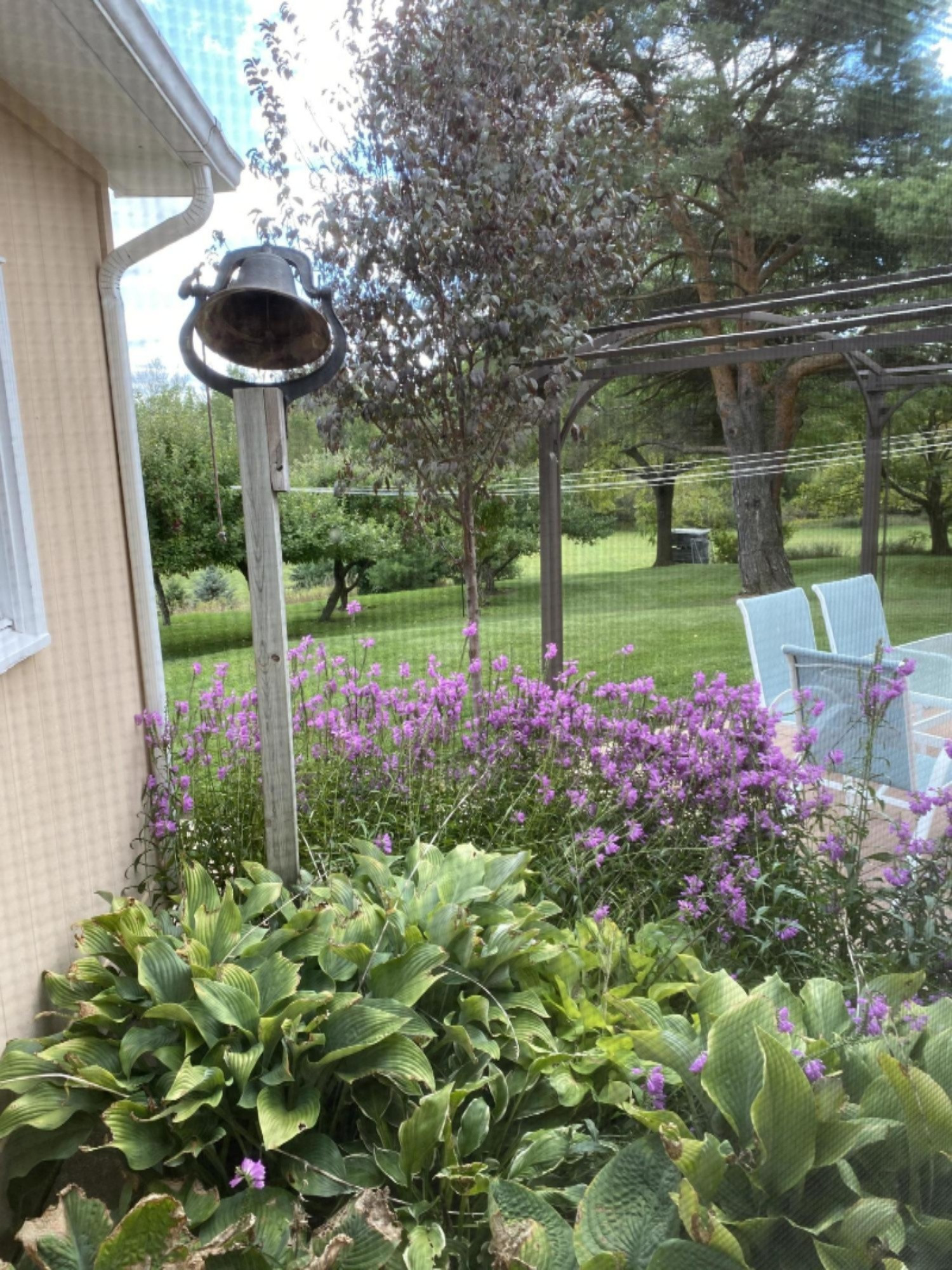 7123 Adamson Lake Road Kaleva, MI 49645 - Photo 51 of 59 Backyard Bell and Flowers out the window