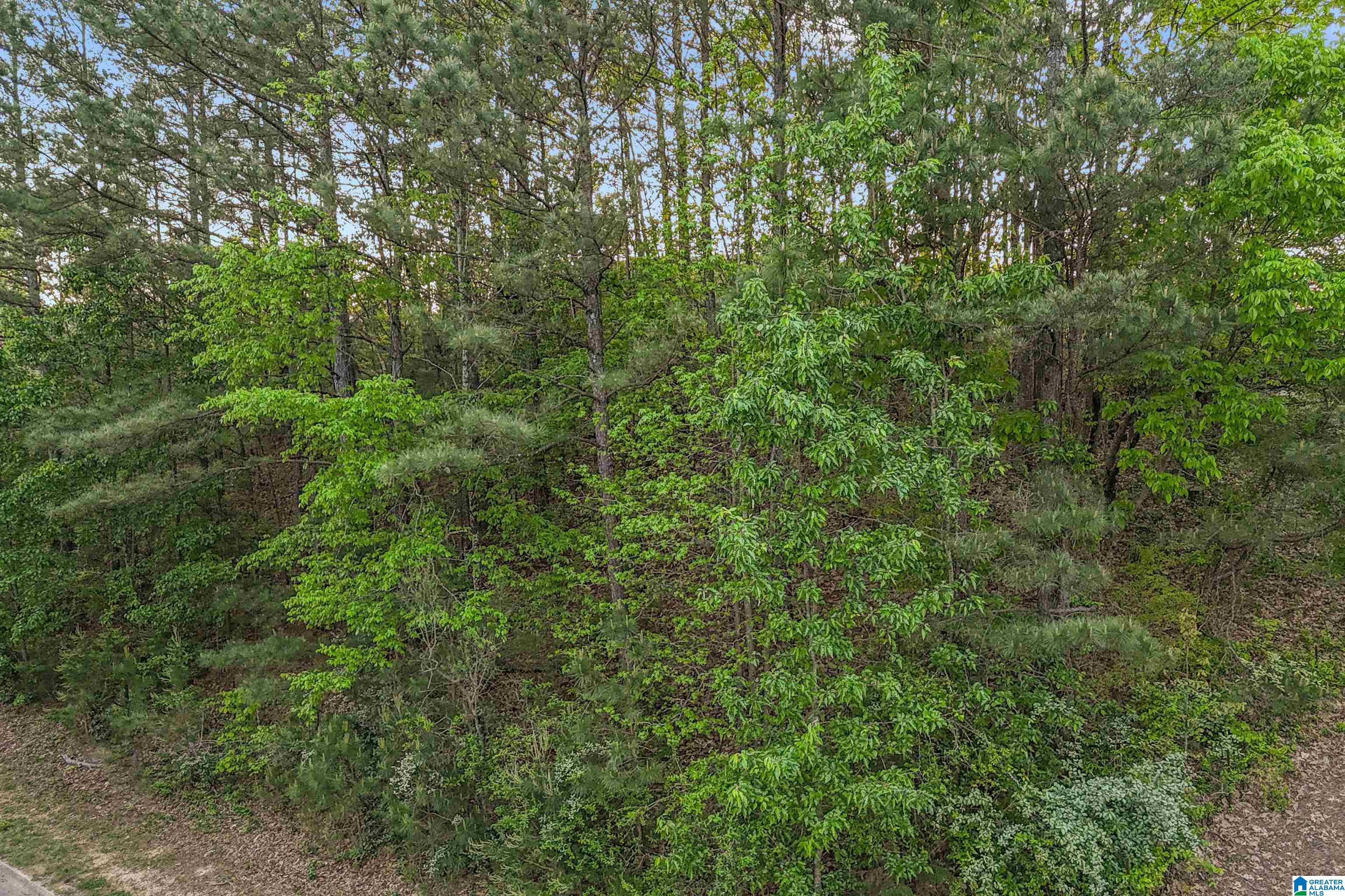 0 Eagle Ridge Drive, Unit 2 Birmingham, AL 35242 - Photo 6 of 8