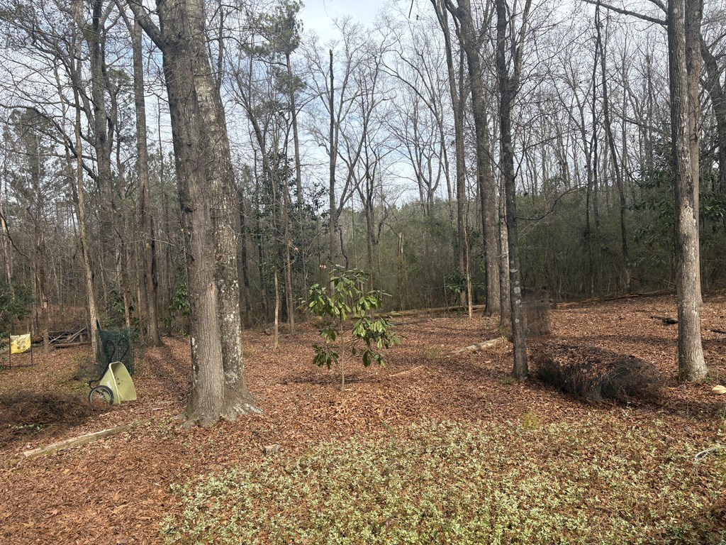 799 Cannon Road Fortson, GA 31808 - Photo 40 of 45