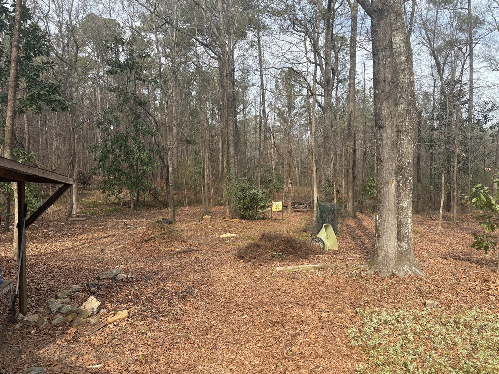 799 Cannon Road Fortson, GA 31808 - Photo 41 of 45