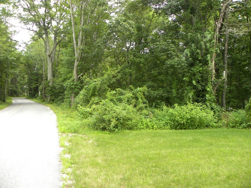 57 McIntyre Road Charlton, MA 01507 - Photo 30 of 30 a view of a yard in a backyard