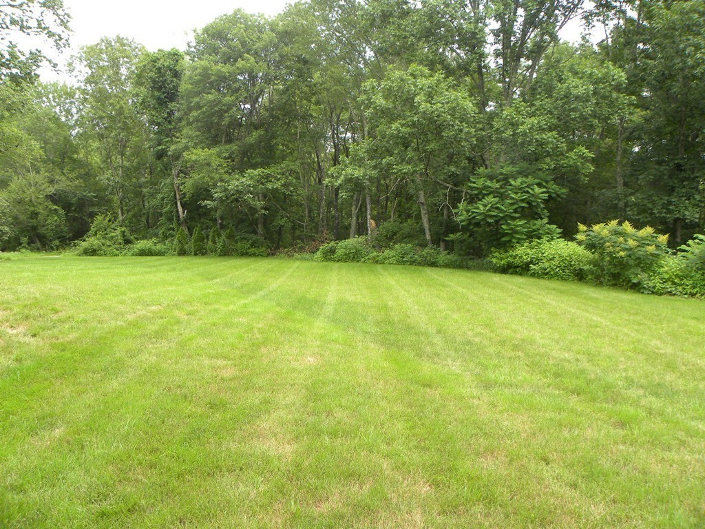 57 McIntyre Road Charlton, MA 01507 - Photo 8 of 30 a view of a field with a trees in the background