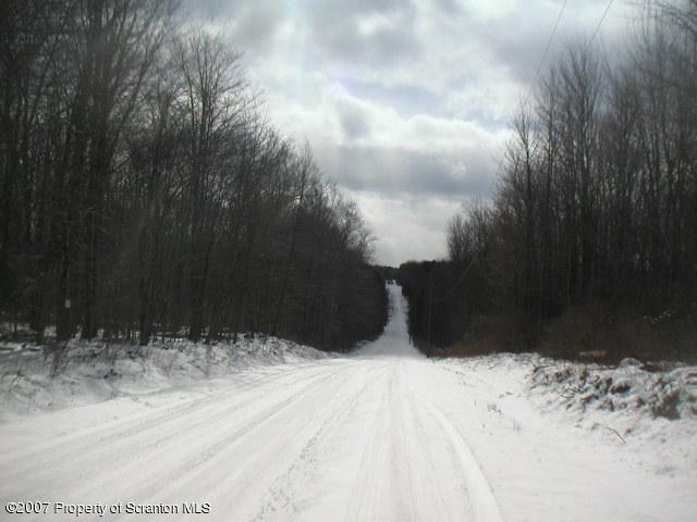 338 Winship L 3 Road Moscow, PA 18444 - Photo 1 of 2 Secluded AND very convenient location