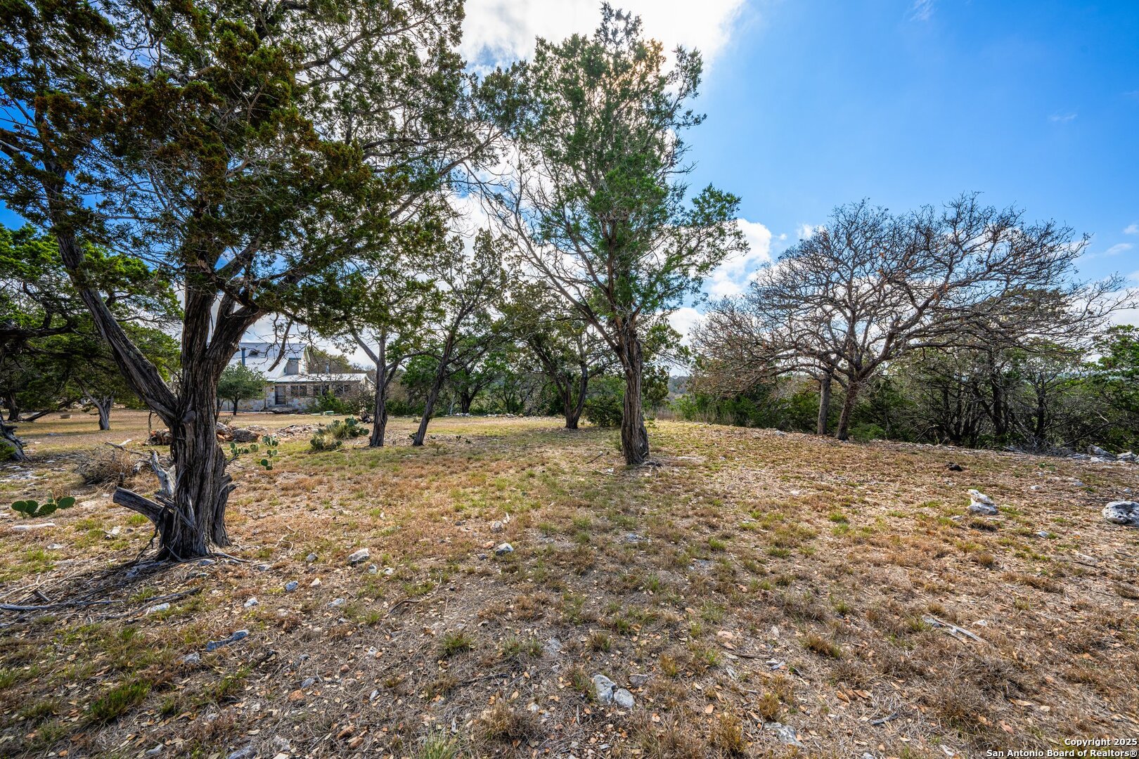 125 Turkey Trot Trail Southwest Hunt, TX 78024 - Photo 32 of 40 a view of a yard with a tree