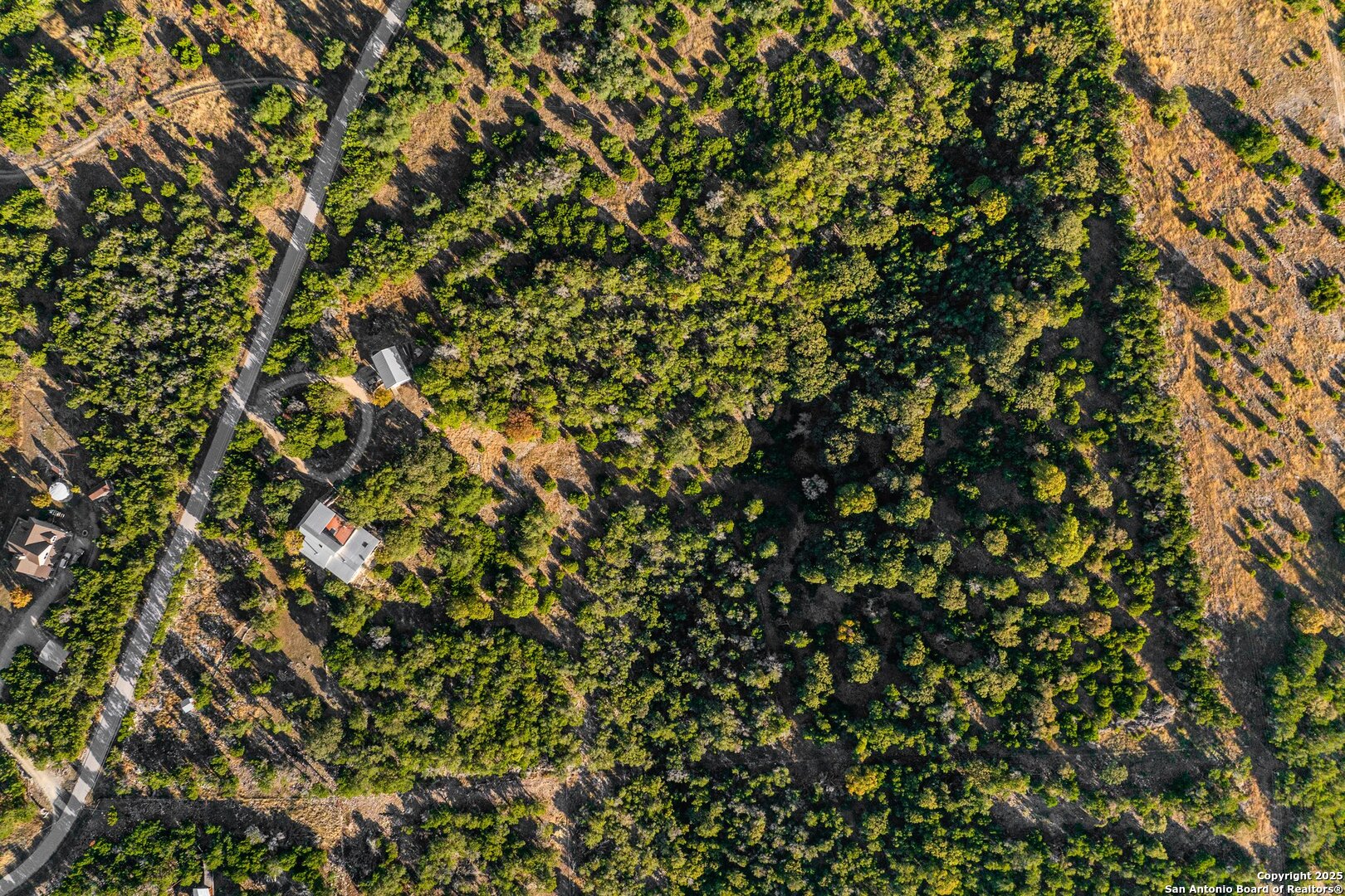 125 Turkey Trot Trail Southwest Hunt, TX 78024 - Photo 4 of 40