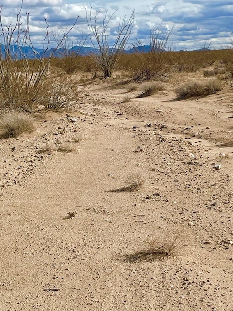3080 South Kickapoo Drive Yucca, AZ 86438 - Photo 13 of 21 Driveway begun for you!