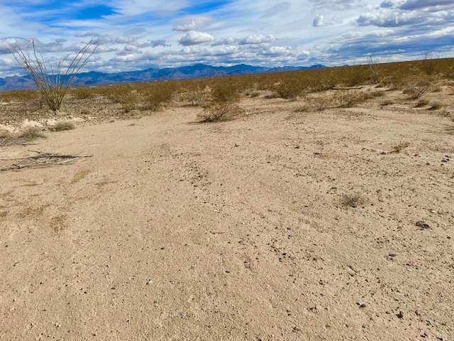 3080 South Kickapoo Drive Yucca, AZ 86438 - Photo 14 of 21 Clearing area to pull your RV on to and use the land immediately!