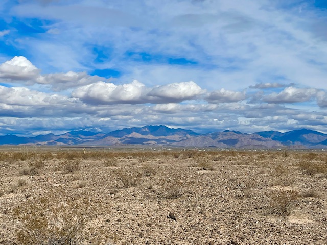 3080 South Kickapoo Drive Yucca, AZ 86438 - Photo 16 of 21 Never gets old!