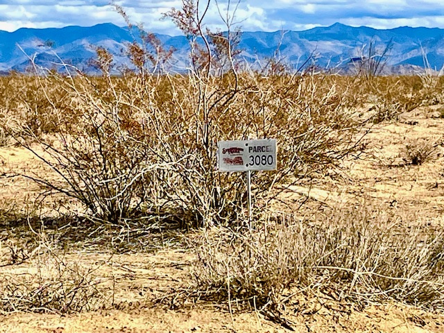 3080 South Kickapoo Drive Yucca, AZ 86438 - Photo 2 of 21 Parcel 3080