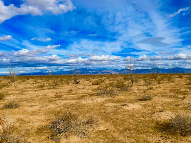3080 South Kickapoo Drive Yucca, AZ 86438 - Photo 4 of 21 Plenty of room to build!