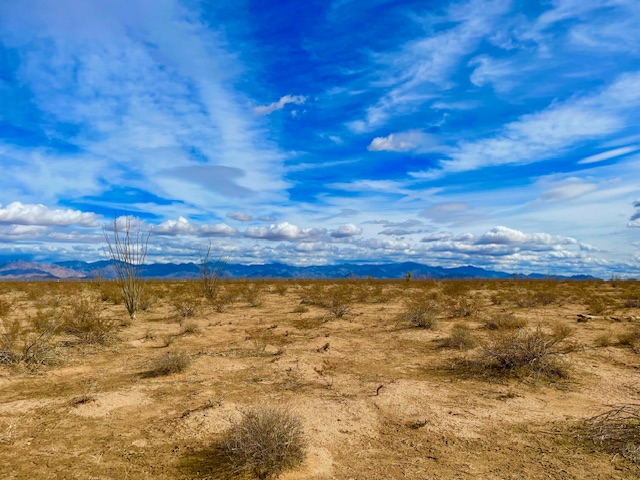 3080 South Kickapoo Drive Yucca, AZ 86438 - Photo 5 of 21 Looking southerly