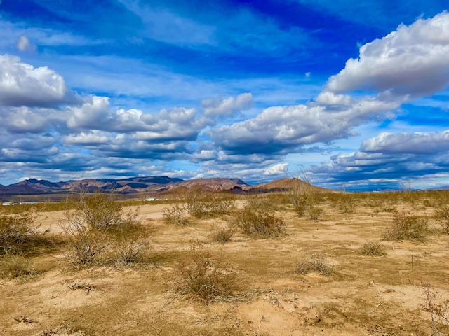 3080 South Kickapoo Drive Yucca, AZ 86438 - Photo 6 of 21 Looking easterly