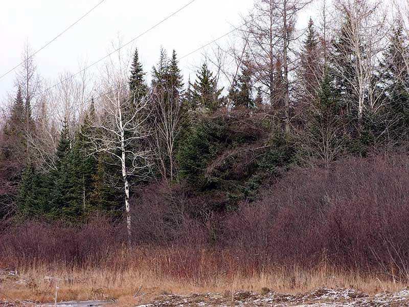 Lot 7 Lake Road Monticello, ME 04760 - Photo 5 of 21 Land.