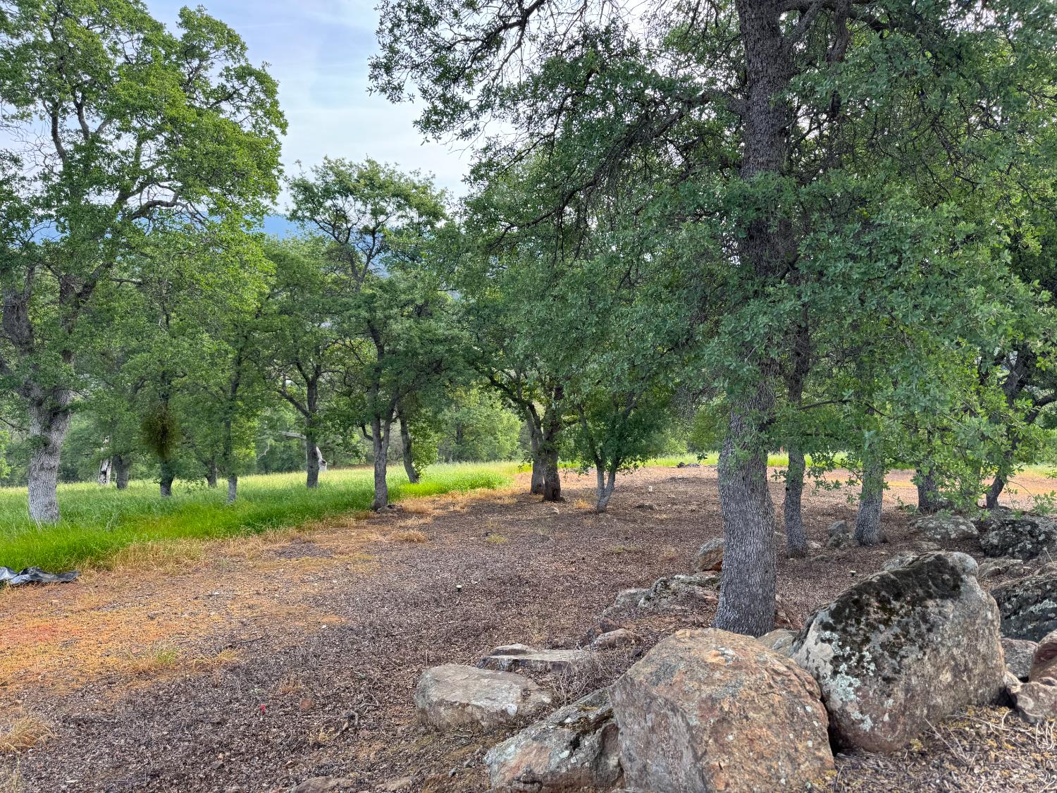 2891 Granite Springs Road La Grange, CA 95329 - Photo 4 of 40