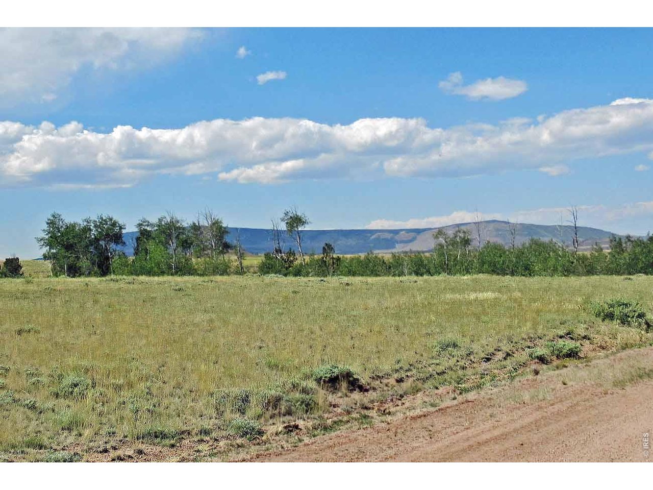 Wilderness Ranch Road Livermore, CO 80536 - Photo 4 of 11