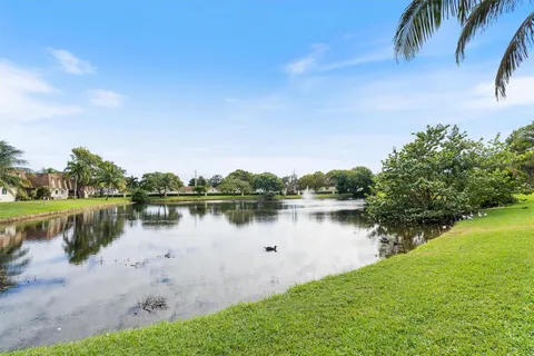 a body of water with a tree in the background