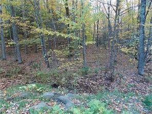 Lot 60 North Road Harmony, ME 04942 - Photo 4 of 8 Photo