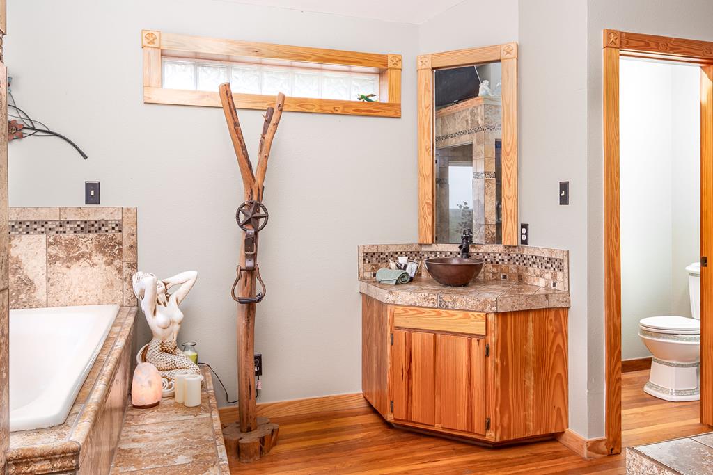 290 Japonica Road Hunt, TX 78024 - Photo 29 of 78 a bathroom with a sink a toilet and a mirror