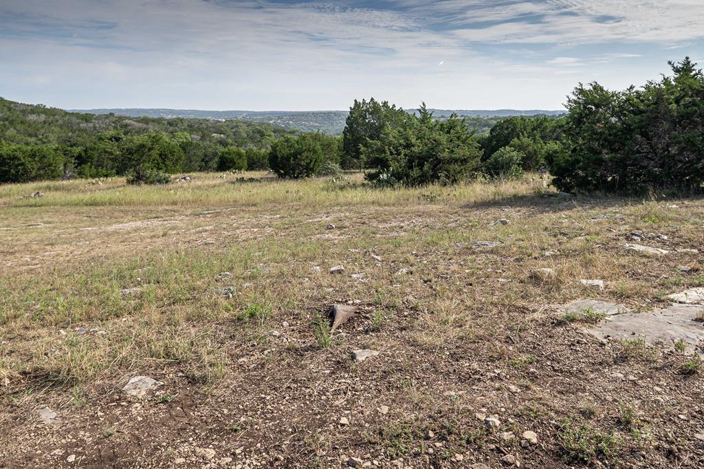 290 Japonica Road Hunt, TX 78024 - Photo 74 of 78 a view of a field with trees in the background