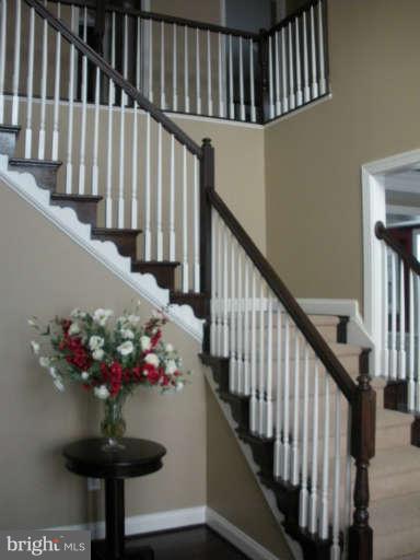 8703 Alexa Road Clinton, MD 20735 - Photo 12 of 28 Interior (General)