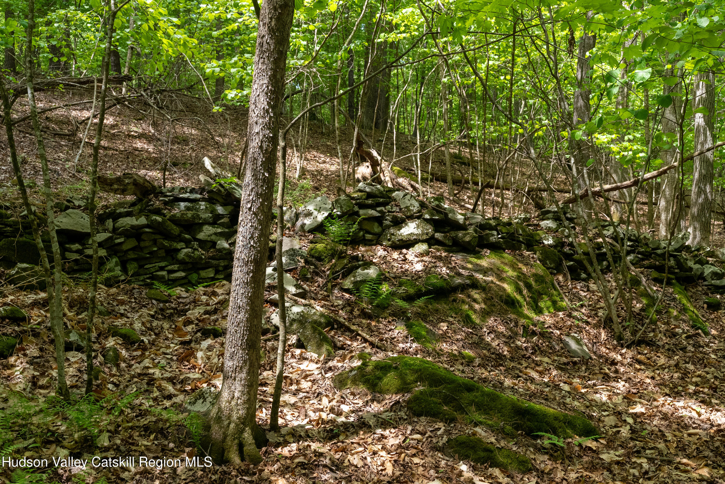 214 Doman Road Freehold, NY 12431 - Photo 47 of 54 106-print-214-doman-rd