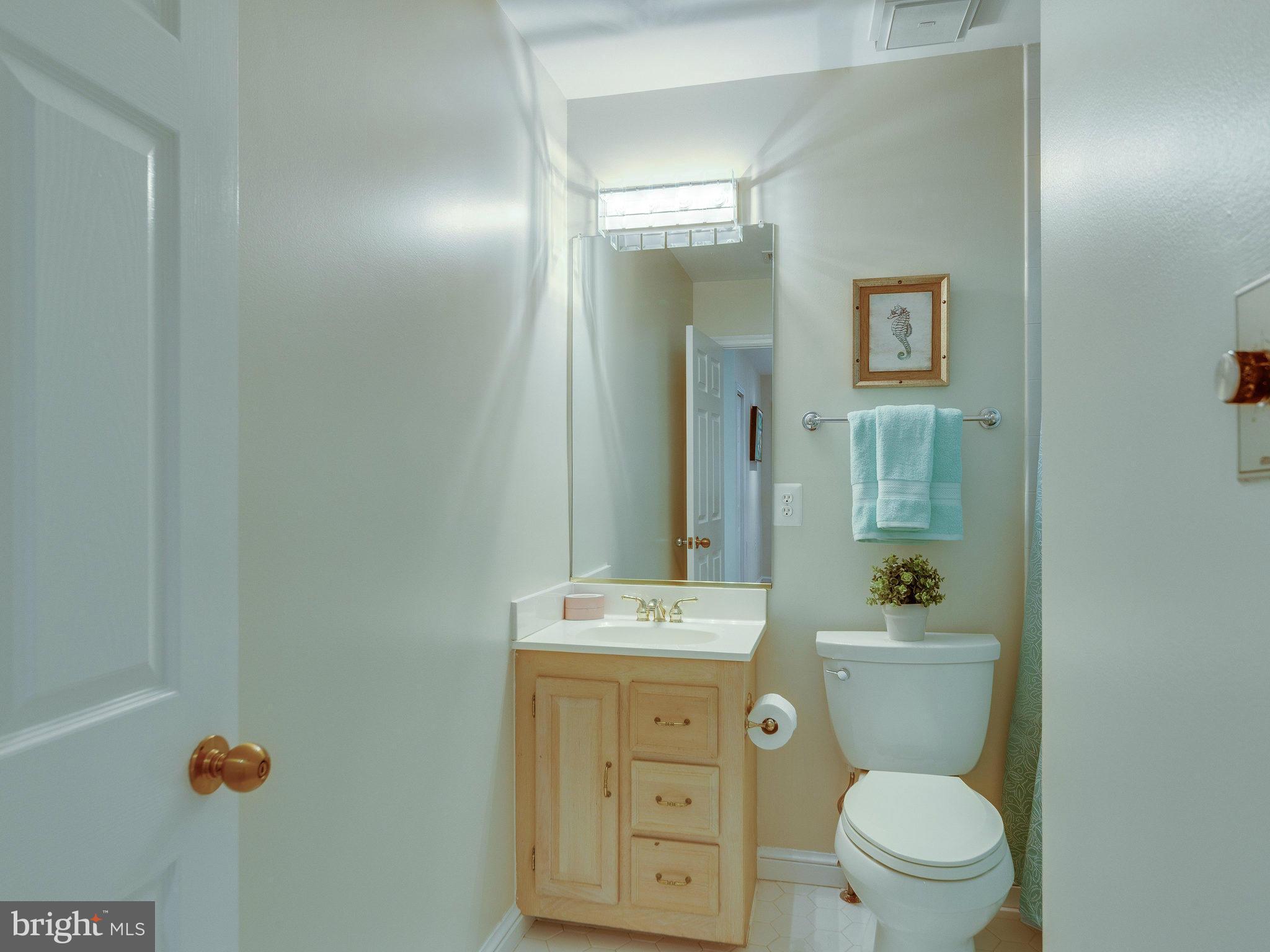 10901 Lawyers Road Reston, VA 20191 - Photo 15 of 30 Bath