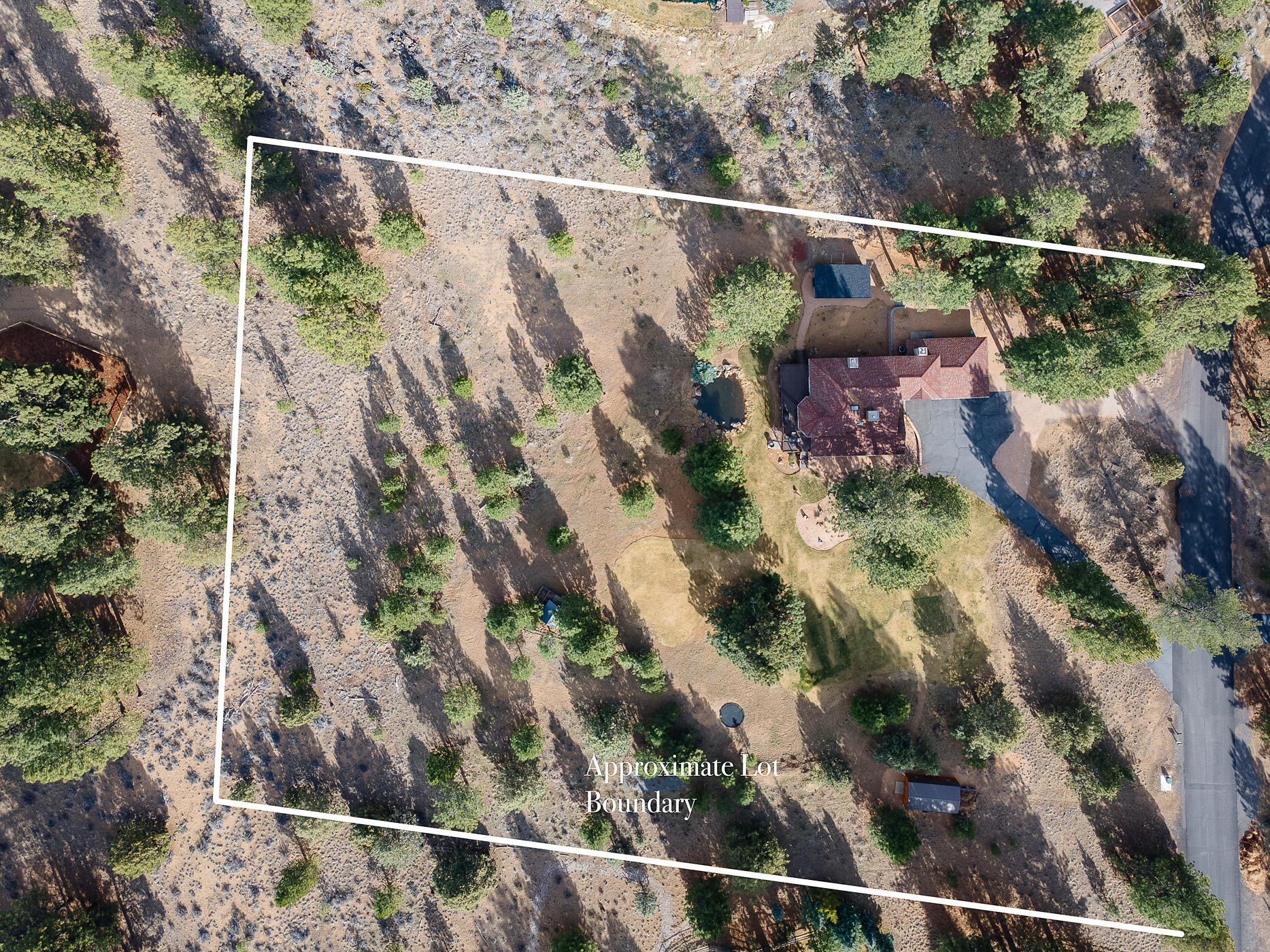 60012 West Ridgeview Drive Bend, OR 97702 - Photo 54 of 55 a view of a forest