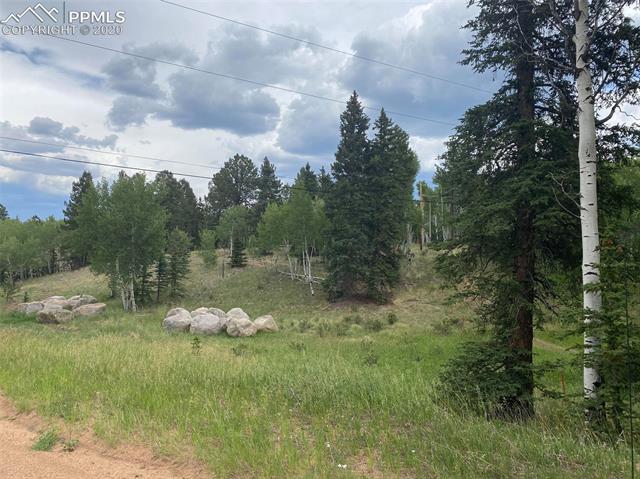 550 Aspen Village Road Divide, CO 80814 - Photo 8 of 10 Gallery Image 8