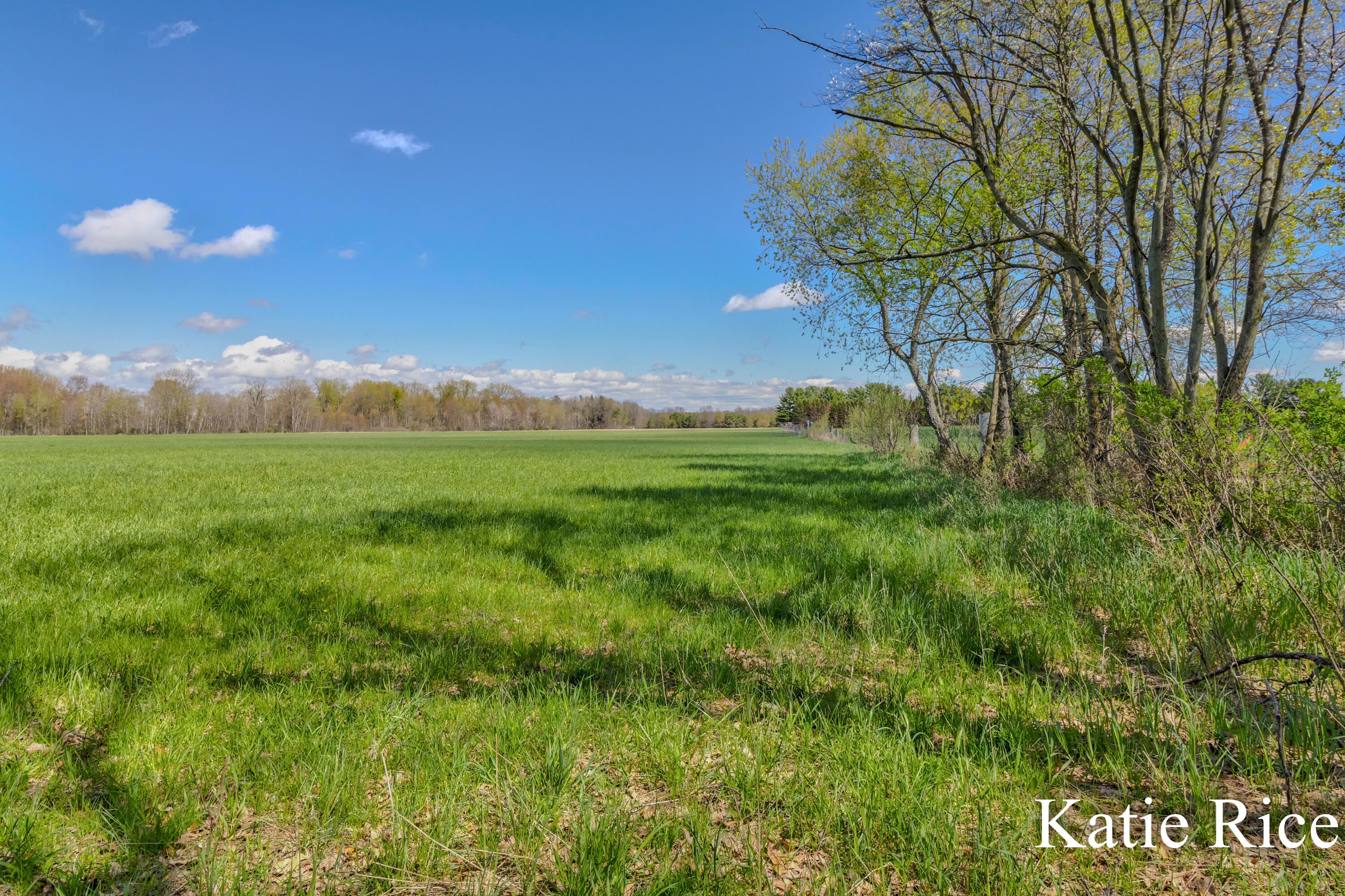 Vl South 96th Avenue Rothbury, MI 49452 - Photo 4 of 7 Katie Rice - VLS 96 Avenue (7)-1