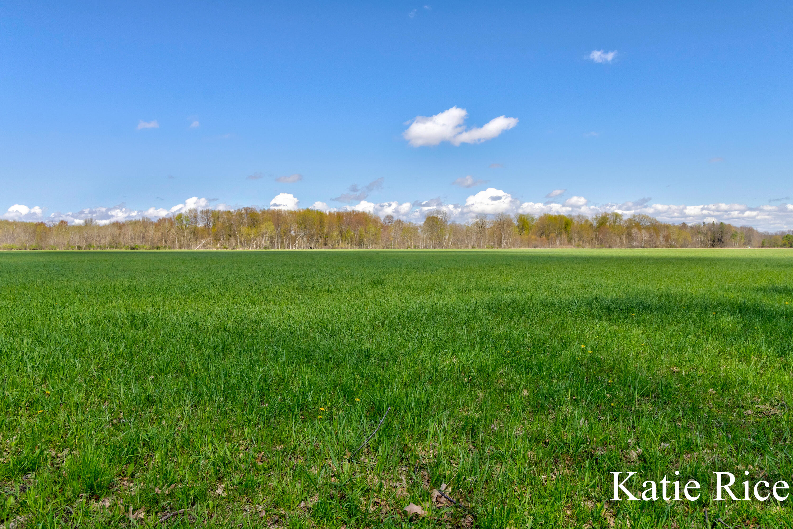 Vl South 96th Avenue Rothbury, MI 49452 - Photo 6 of 7 Katie Rice - VLS 96 Avenue (7)-3