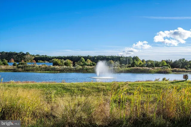 $715,000 | 38914 Blue Indigo Road, Selbyville, DE 19975