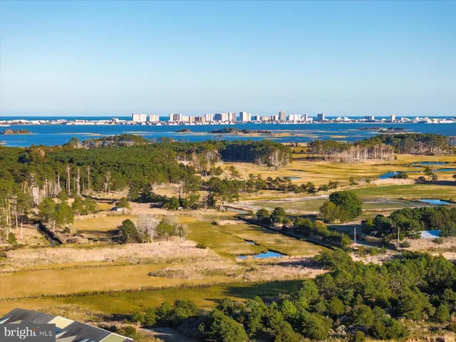 $715,000 | 38914 Blue Indigo Road, Selbyville, DE 19975